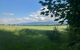 Szewska Pasja Agroturystyka Wiejska